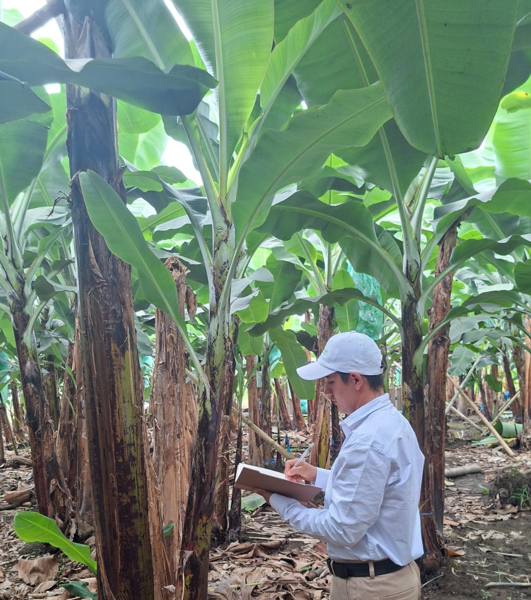 WhatsApp Image 2025-09-15 at 13.10.10